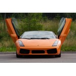 LSD Doors για Lamborghini Gallardo Spyder LSD Doors για Lamborghini Gallardo Spyder